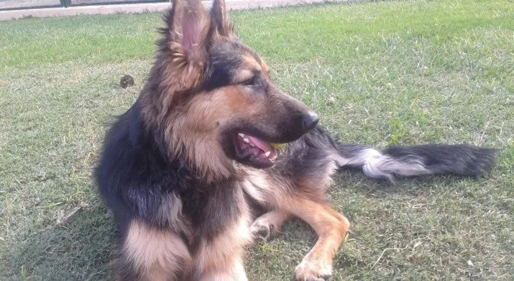 Hotel Residencia Sol