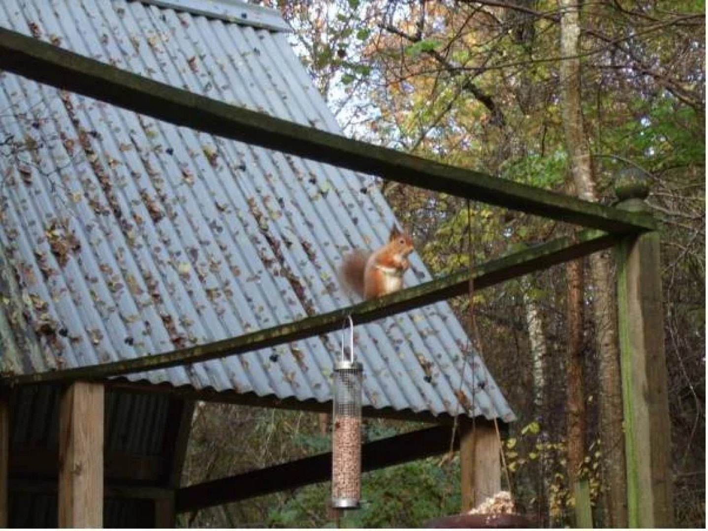 The Cross at Kingussie