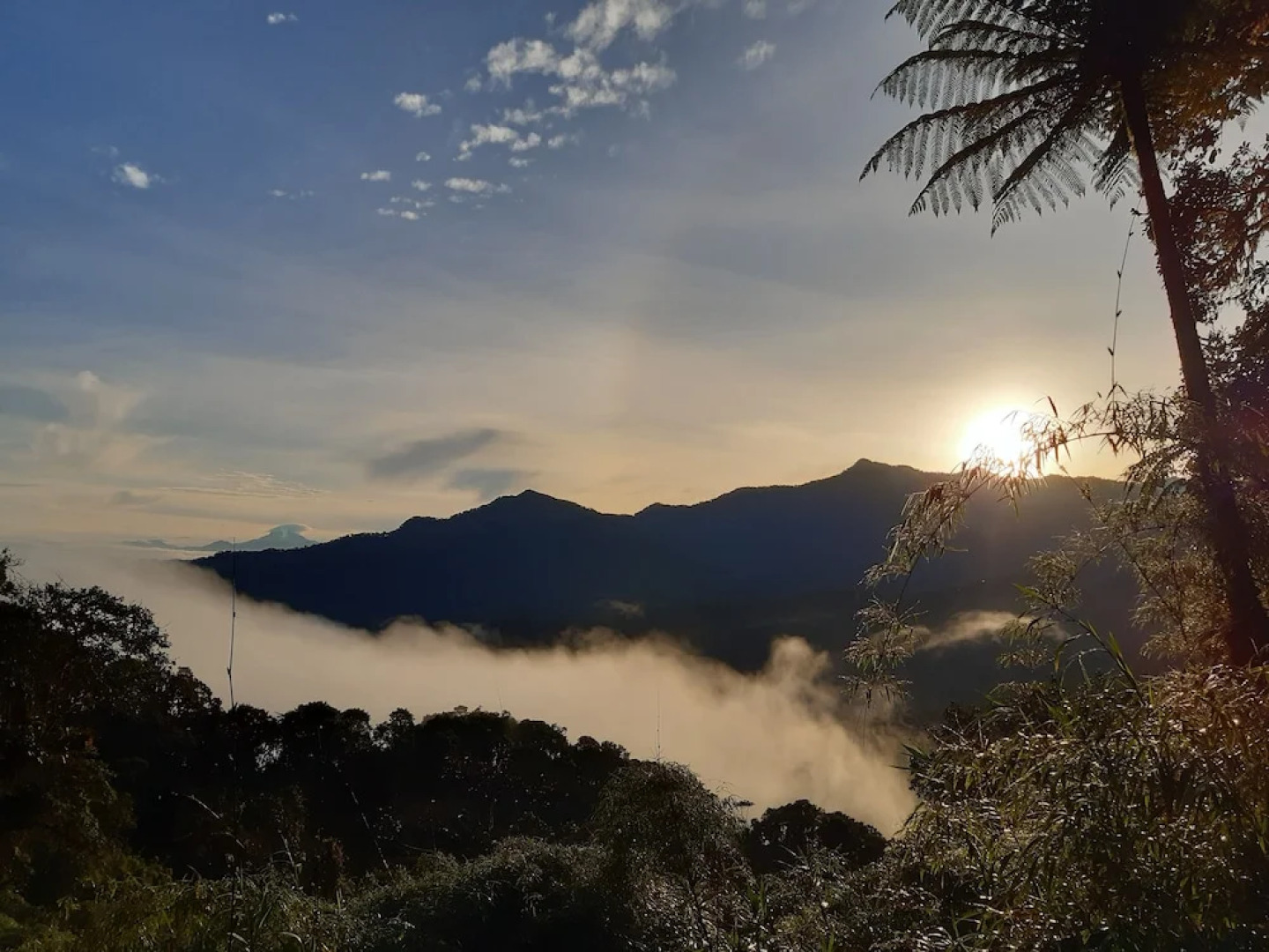 Bellavista Cloud Forest Reserve & Lodge