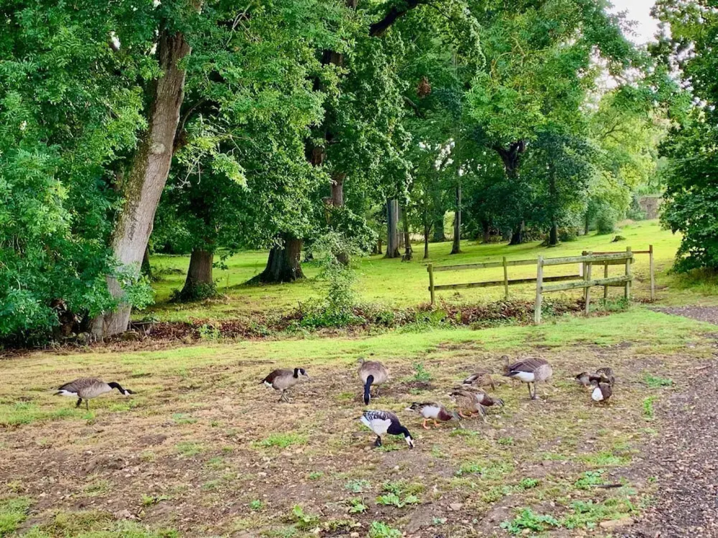 Bluebell is a Stunning Lake Side Lodge Sleeps 4 Close to Ryde