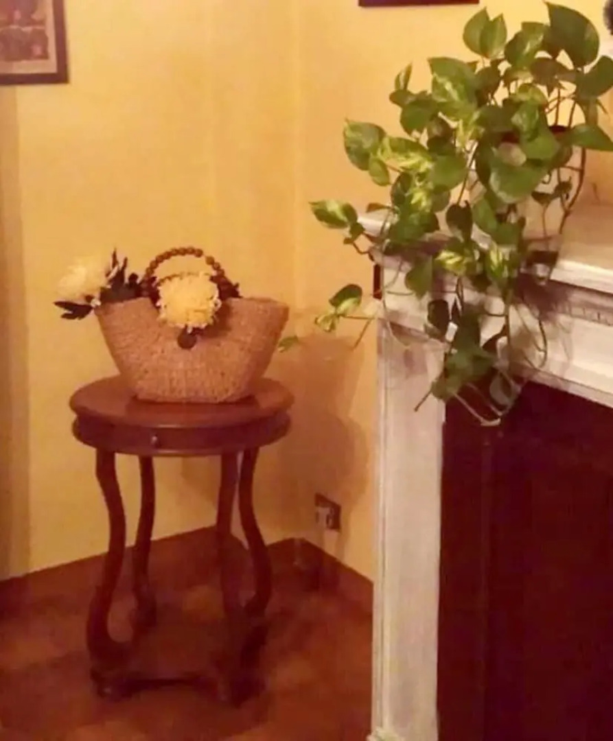 Apartment With 3 Bedrooms in Sabaudia, With Balcony and Wifi - 800 m F