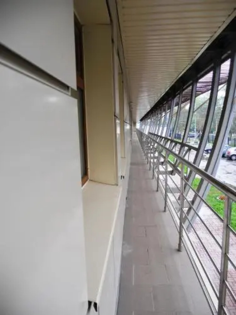 Южная Трибуна