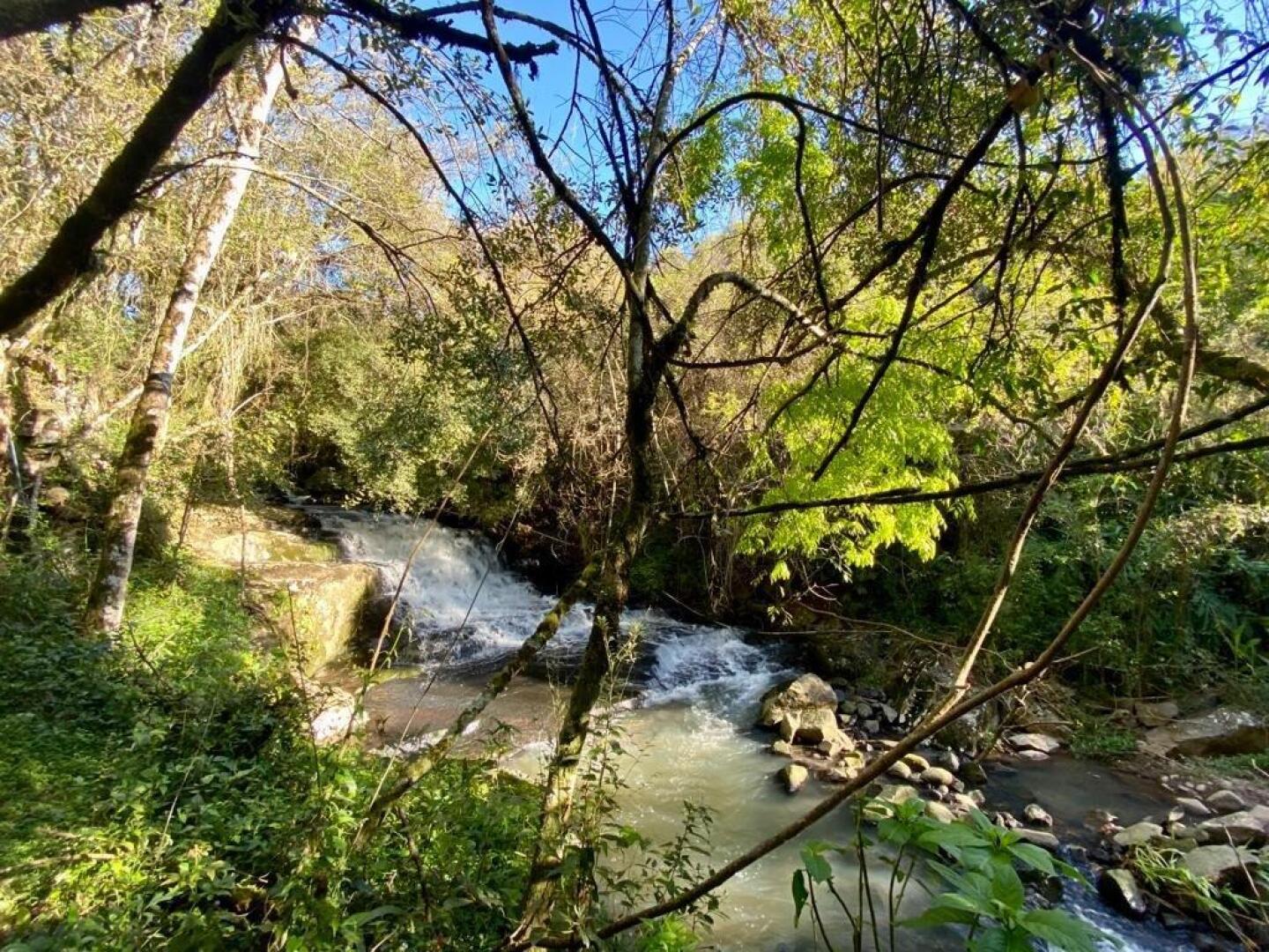 Villaggio dos Vinhedos