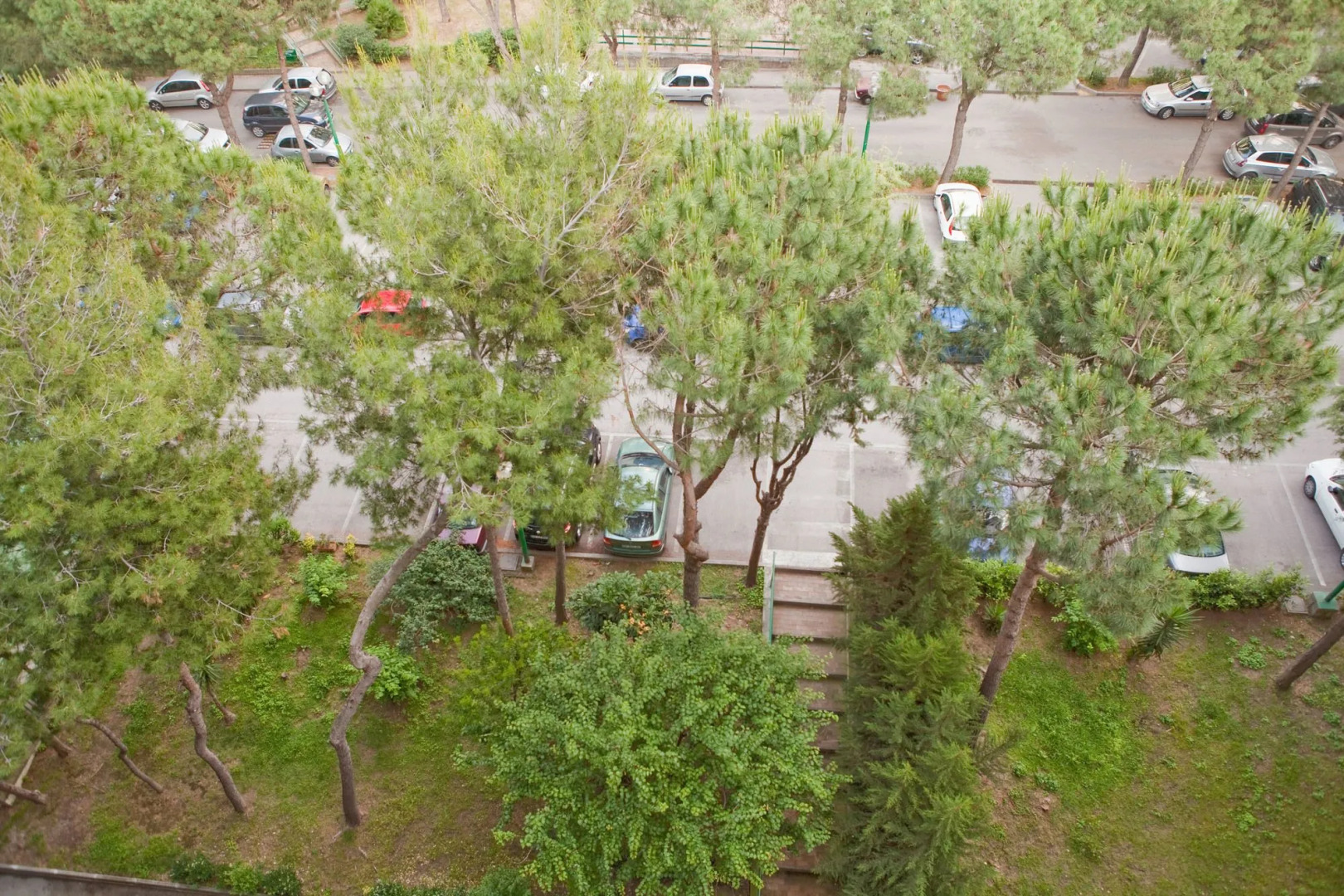 Rooms Rent Vesuvio B&B