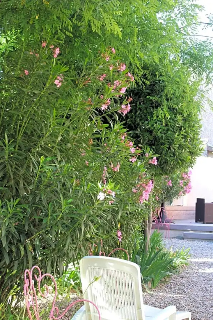 Hotel Restaurant Martinez