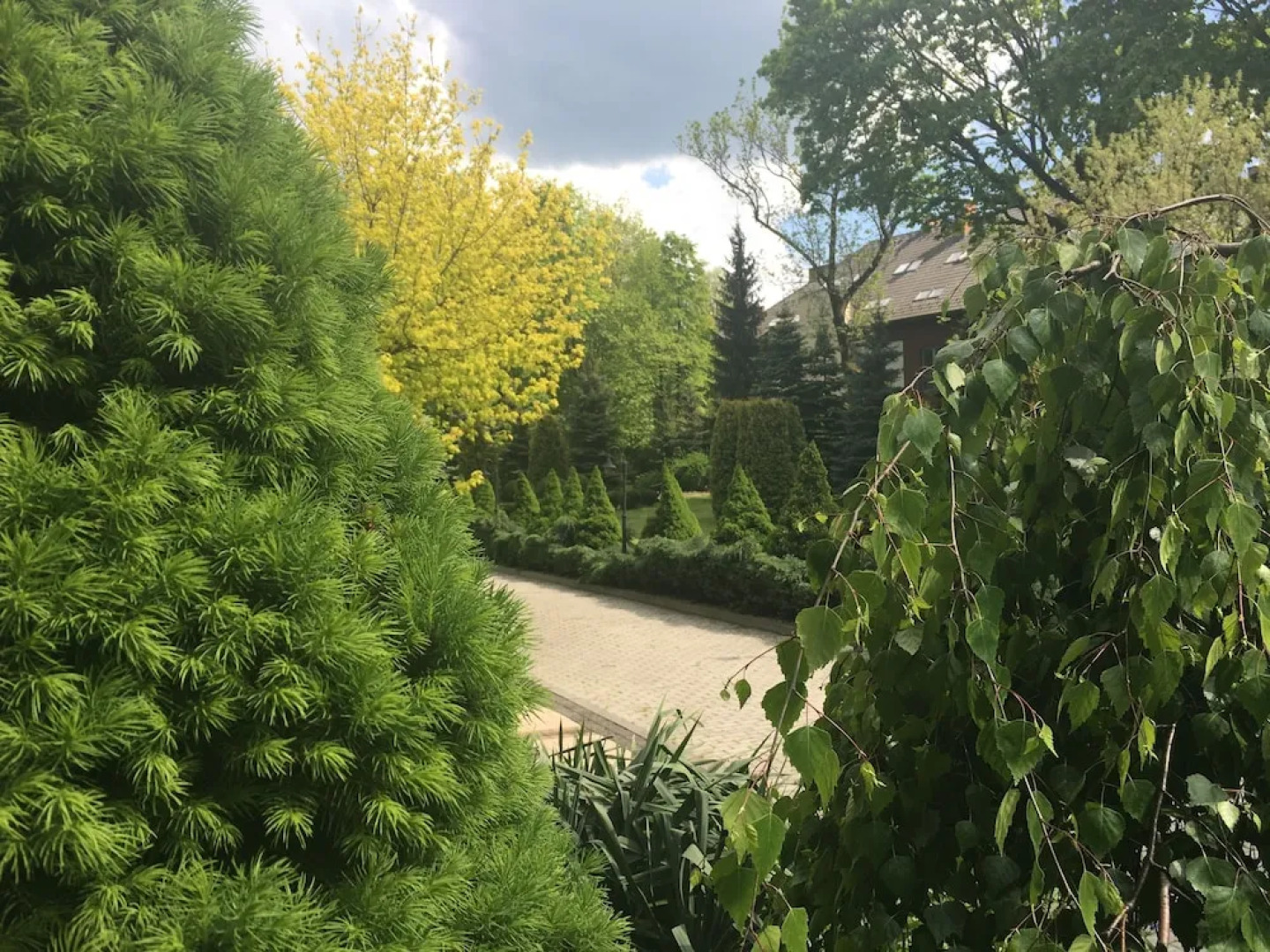 Papuga Park Hotel **** Spa & Wellness 4* Spa w górach Konferencje Bielsko Hotel Bielsko Marrakesz