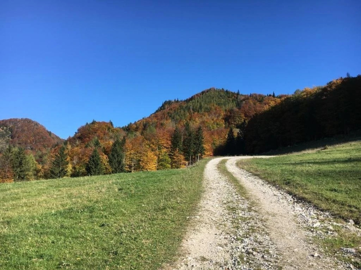 Baby-und Kinderbauernhof Salmanner