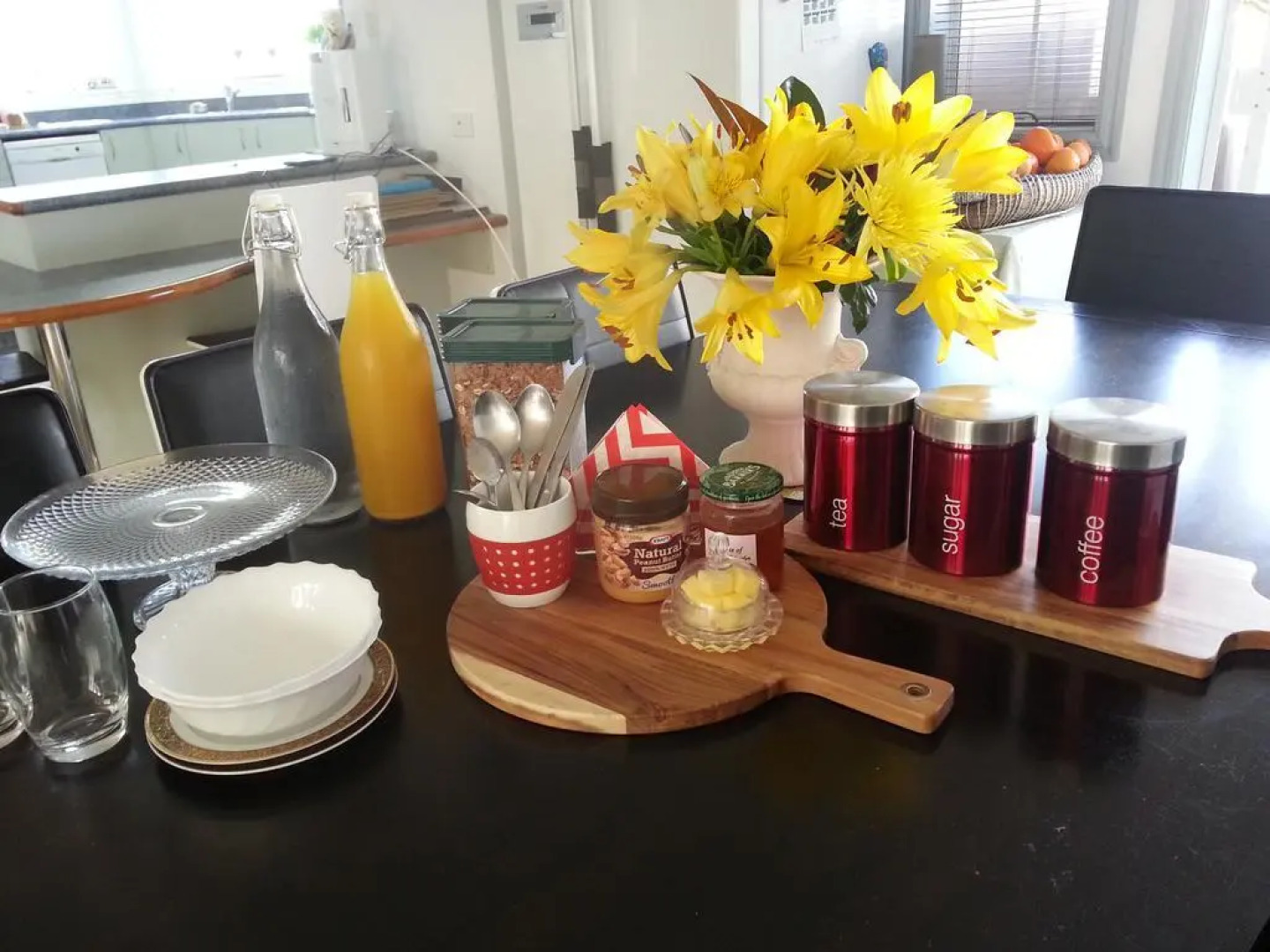 Lush & Co Auckland Bed & Breakfast