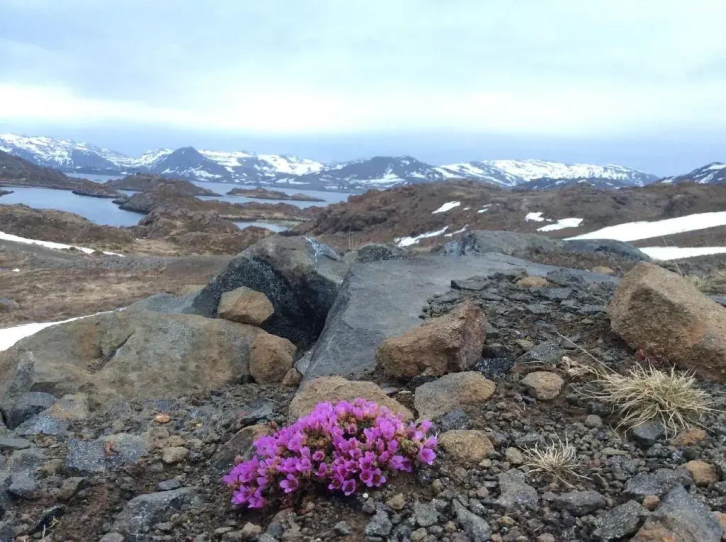 Repvåg Camping-Nordkapp AS