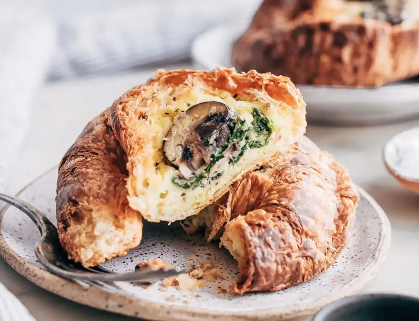 Telemark Ridge Lodge and Wellness Retreat