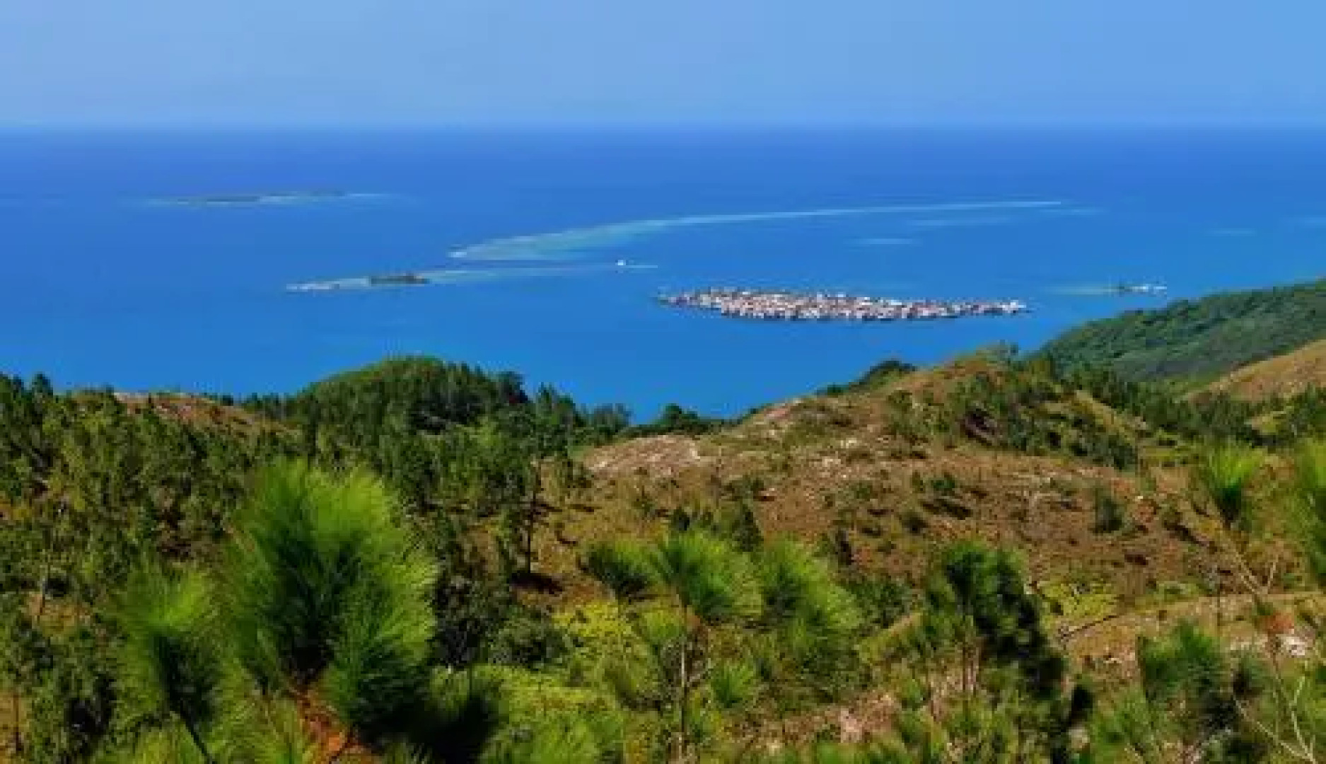 Roland's Garden Guesthouse