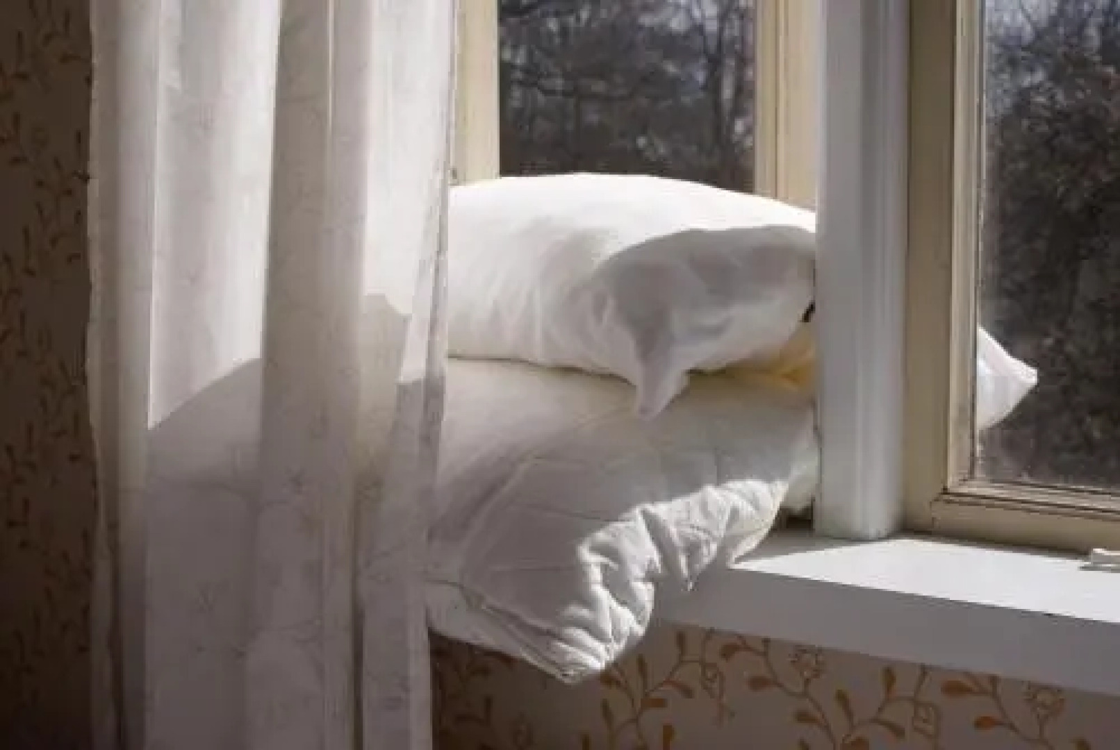 Bed & Balance Skansen Osby