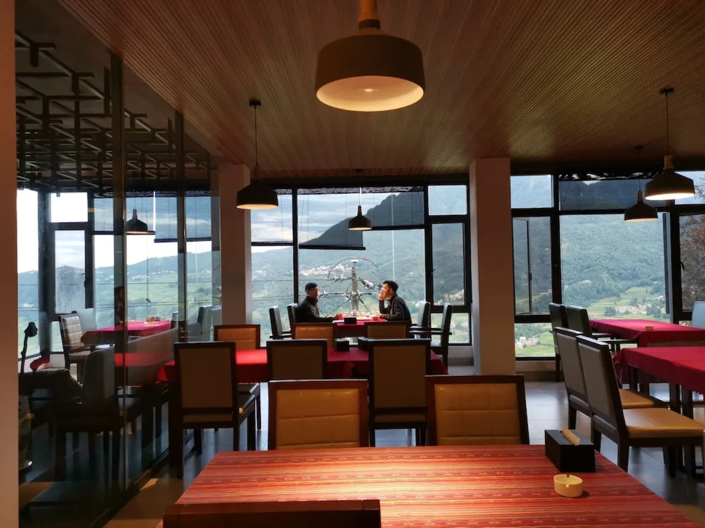 Plants and Flowers.YSTS