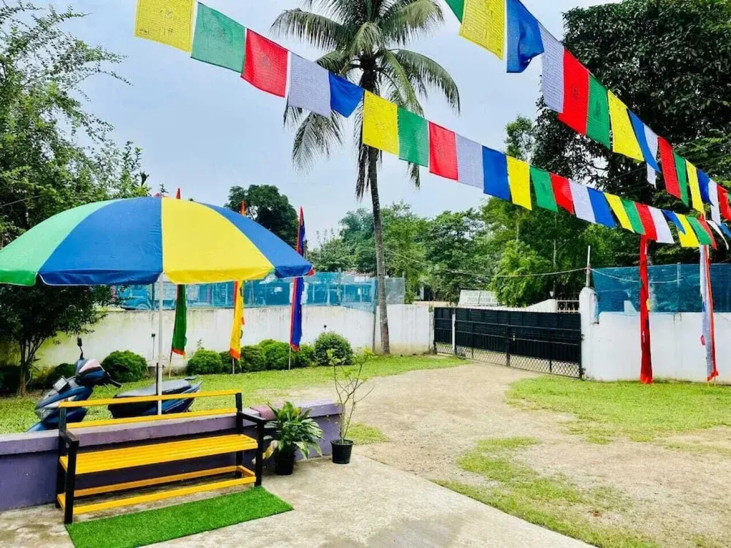 Khruptang Green Reed Kaziranga By GRB