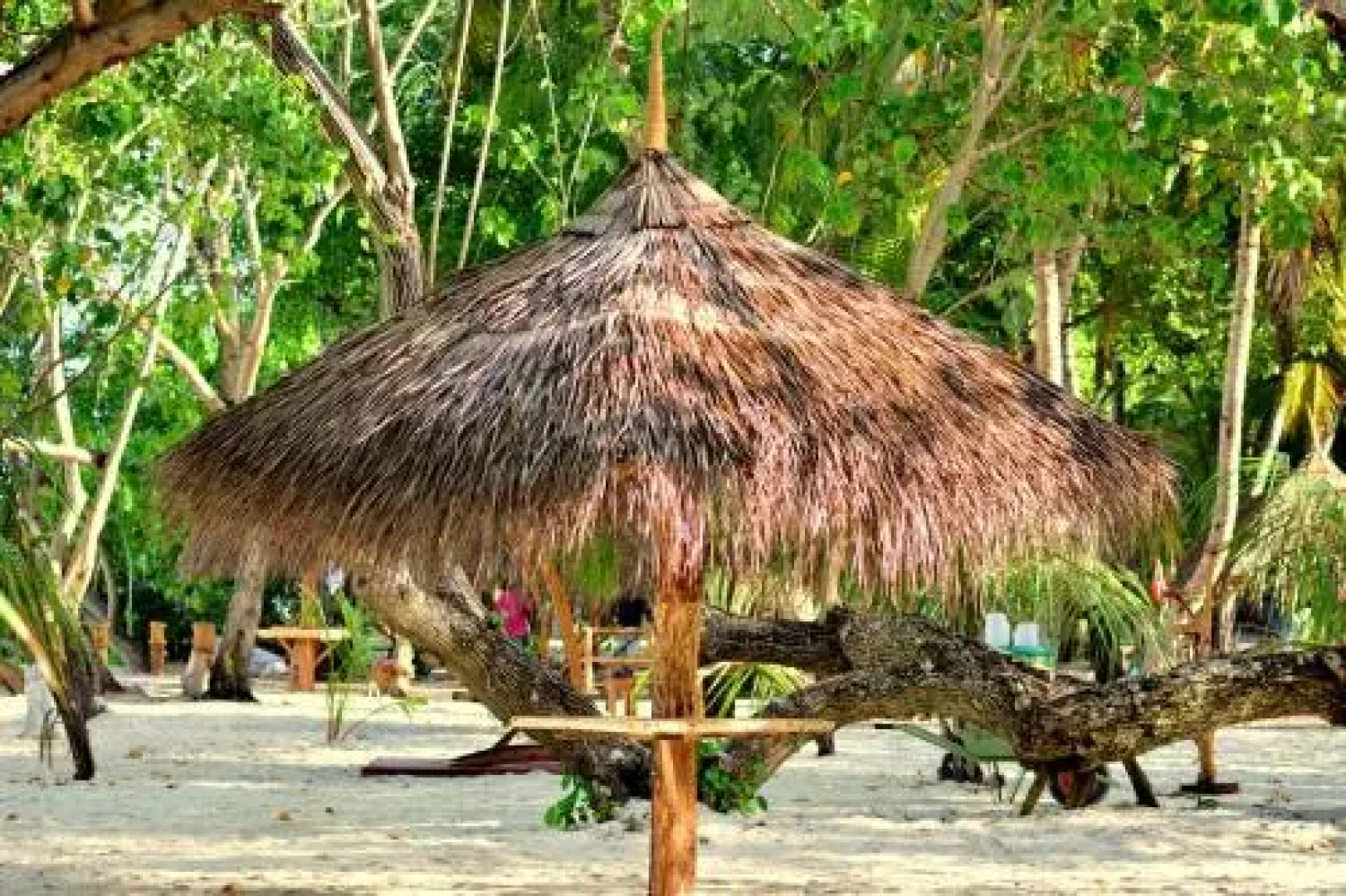 Orchid Inn