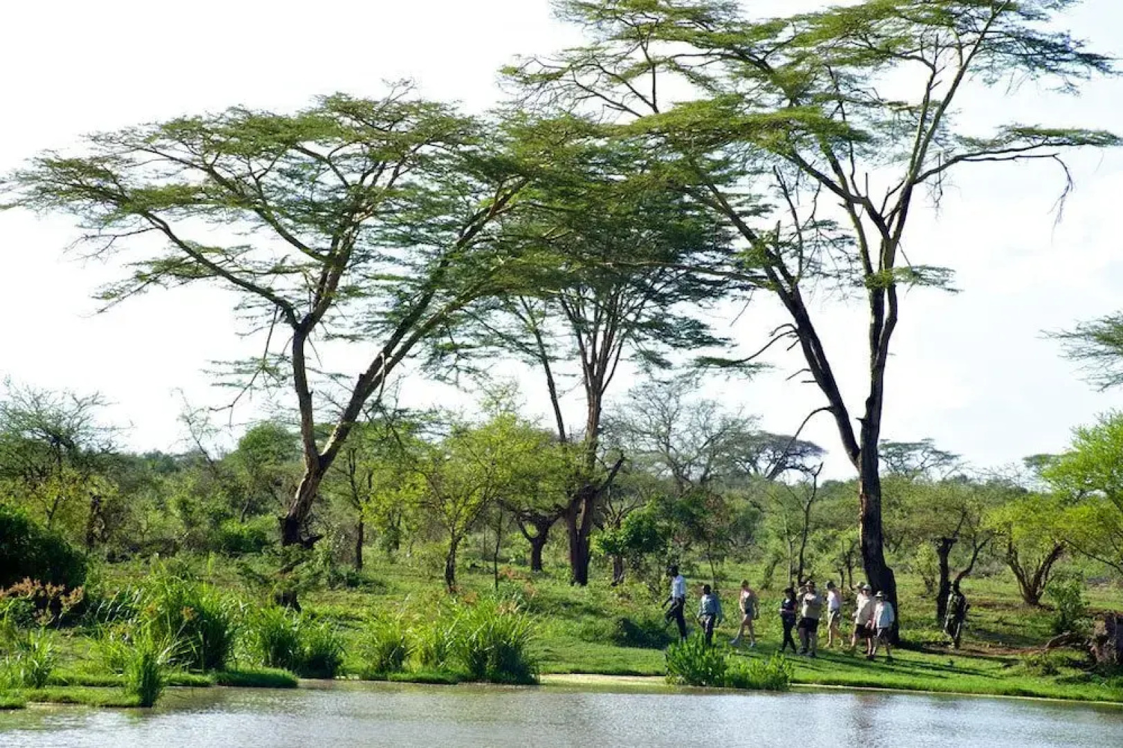 Voyager Ziwani Tented Camp