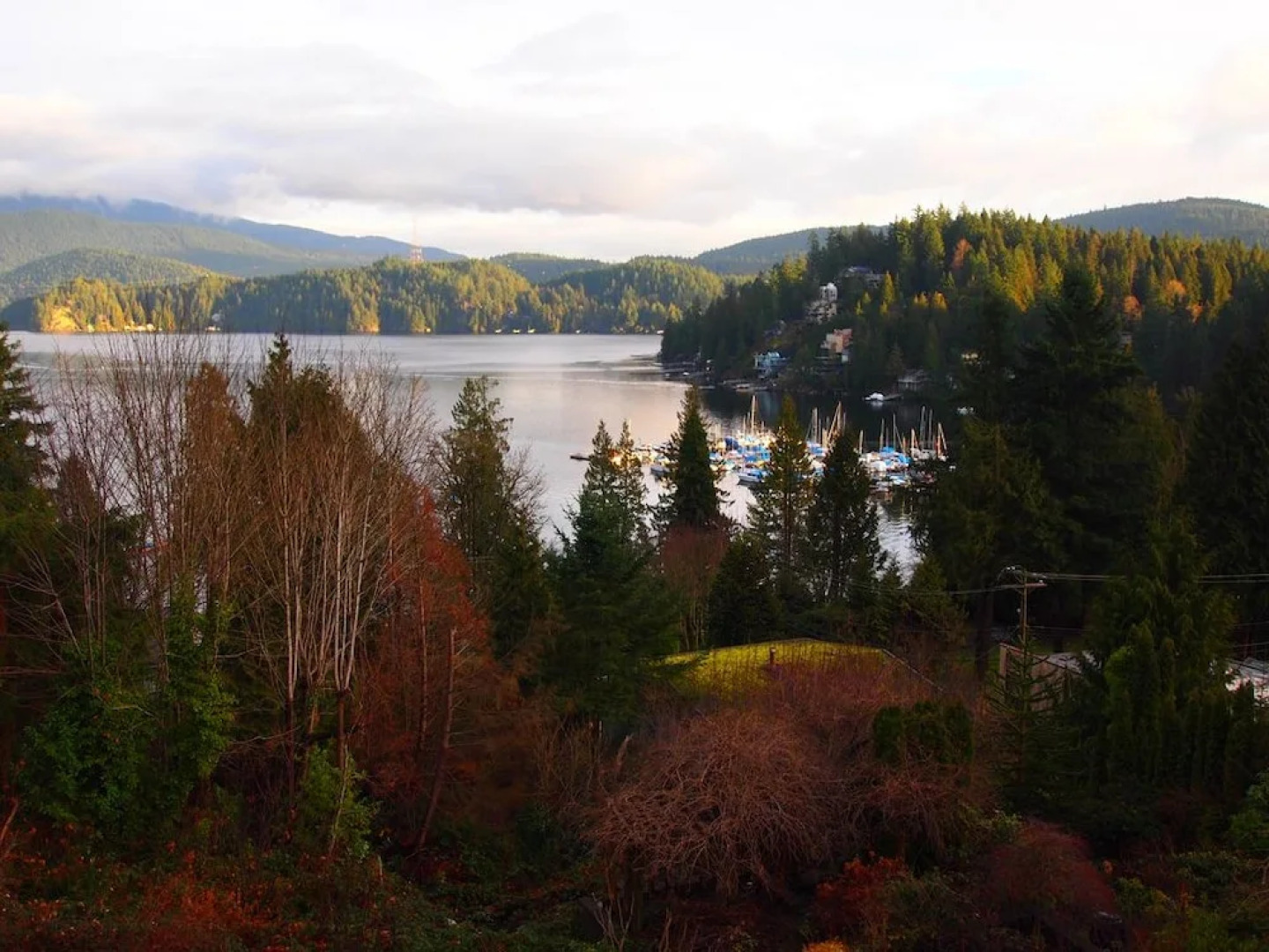 Eagles Nest Vacation Home Rental