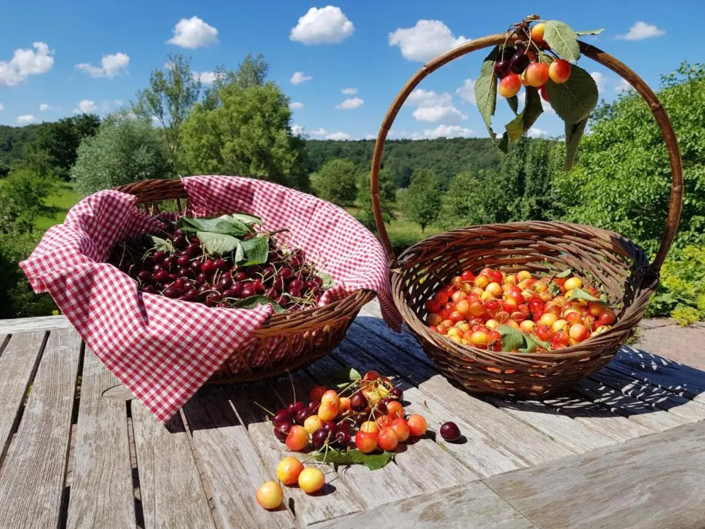 Buitenverblijf t Herfse