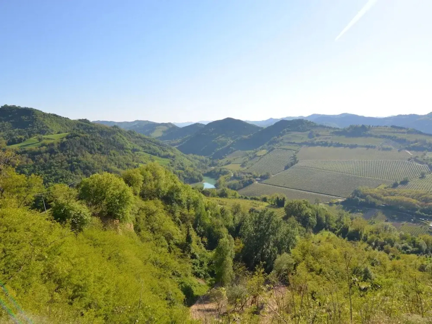 Peaceful Apartment in Modigliana With Swimming Pool