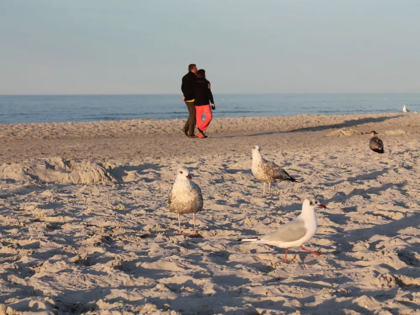 Delightful Apartment With Terrace, Parasol, Garden Furniture