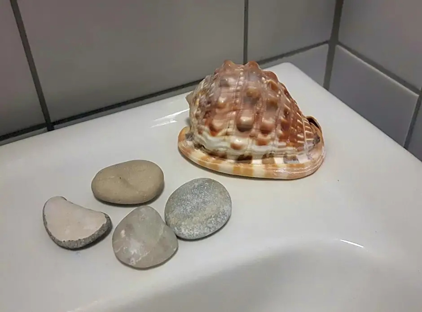 Mietta bed & breakfast