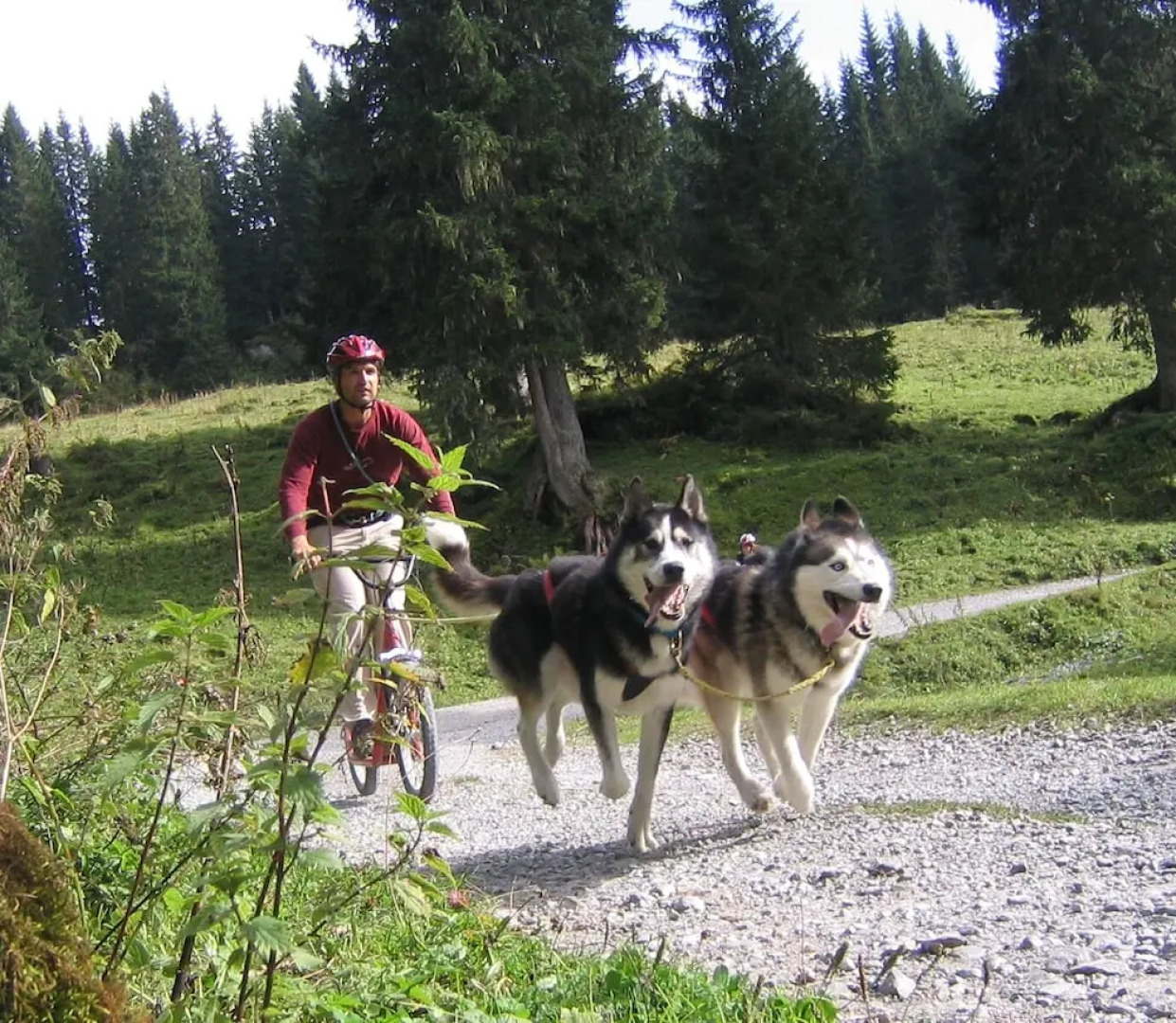 Easy-Living Luzern - Budget Rooms