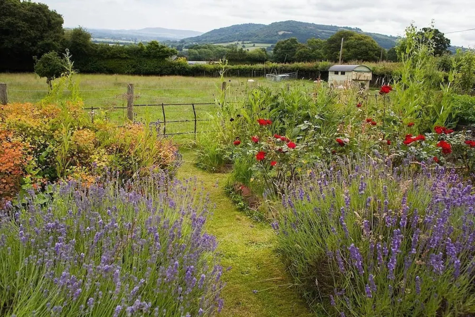 The Smithy B&B (3 miles from Hay-on-Wye)