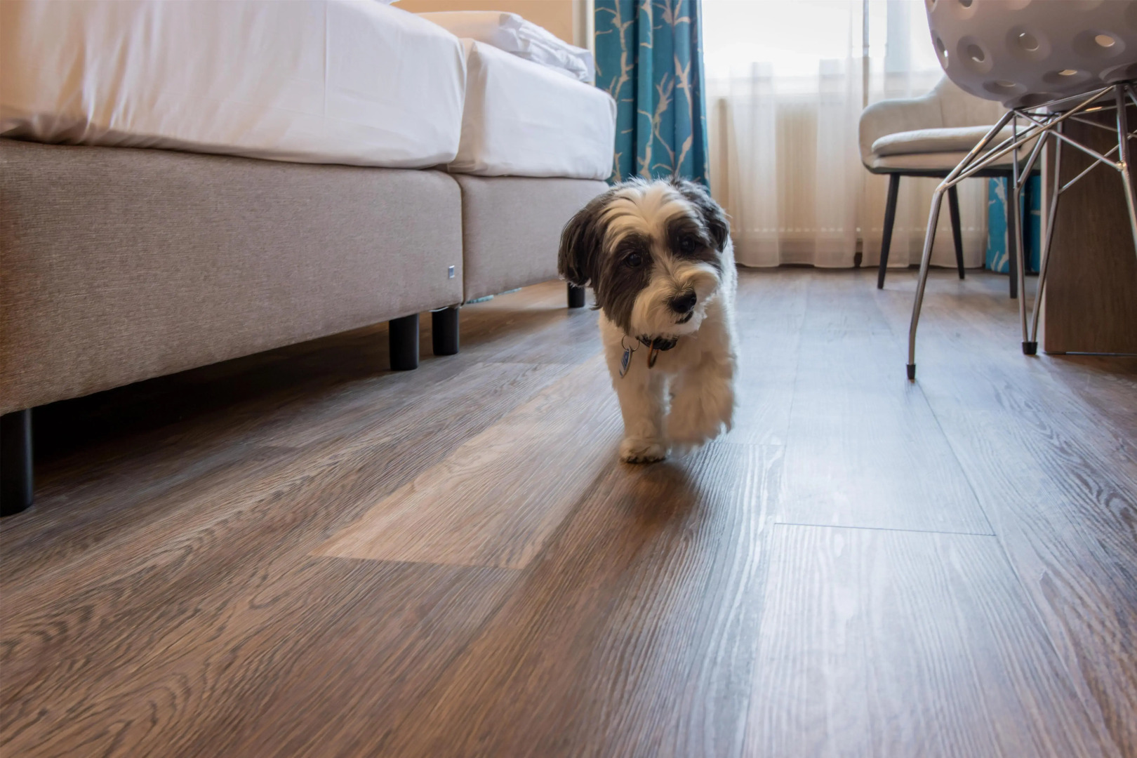 Best Western Plus Palatin Kongresshotel