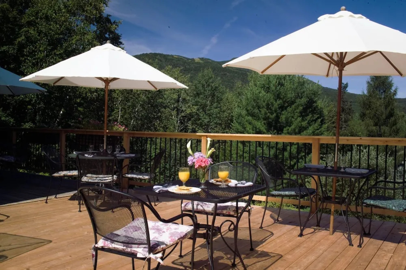 Best Western Silver Fox Inn