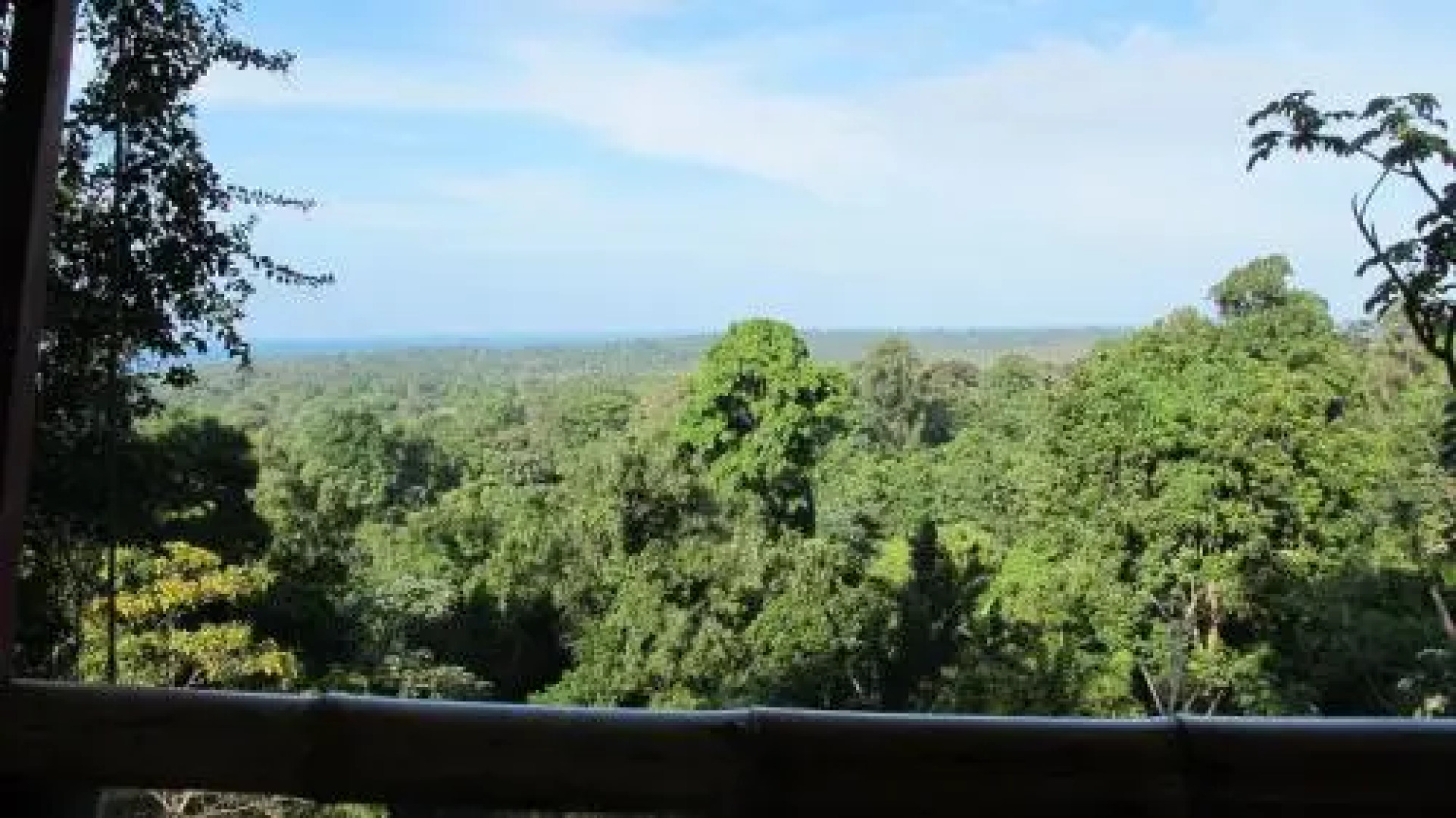 Nature Observatorio Amazing Treehouse