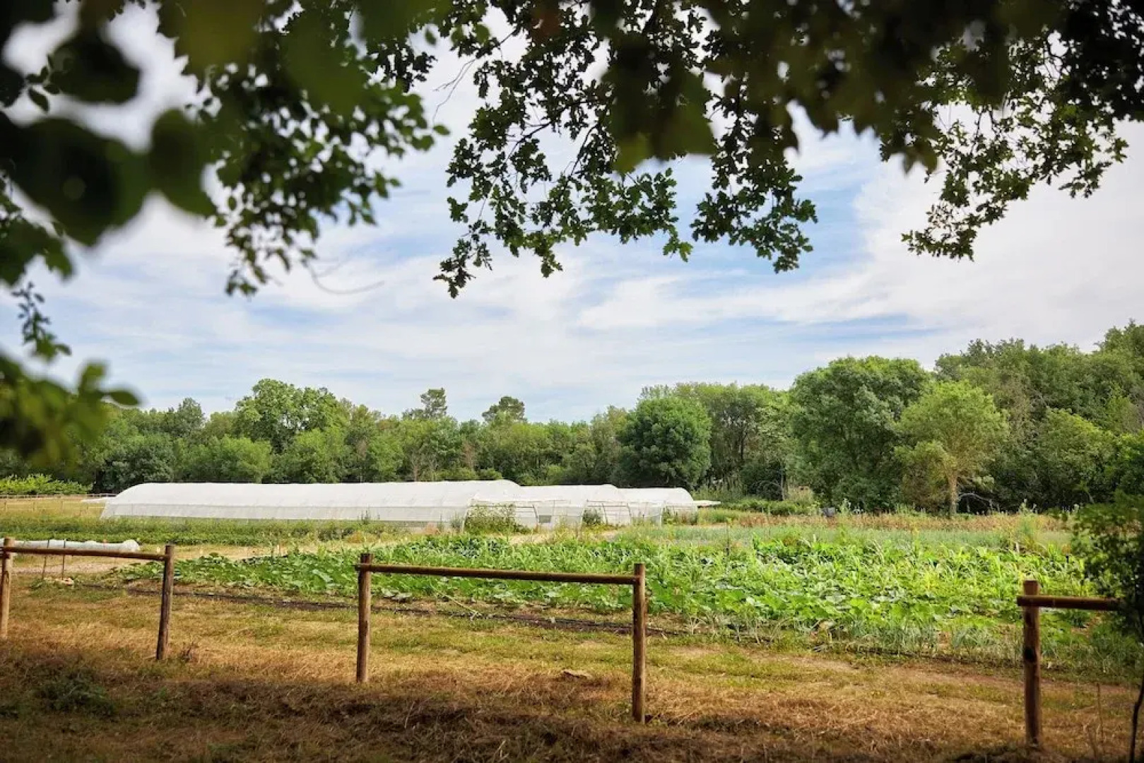 Ferme Saint-Georges en Provence