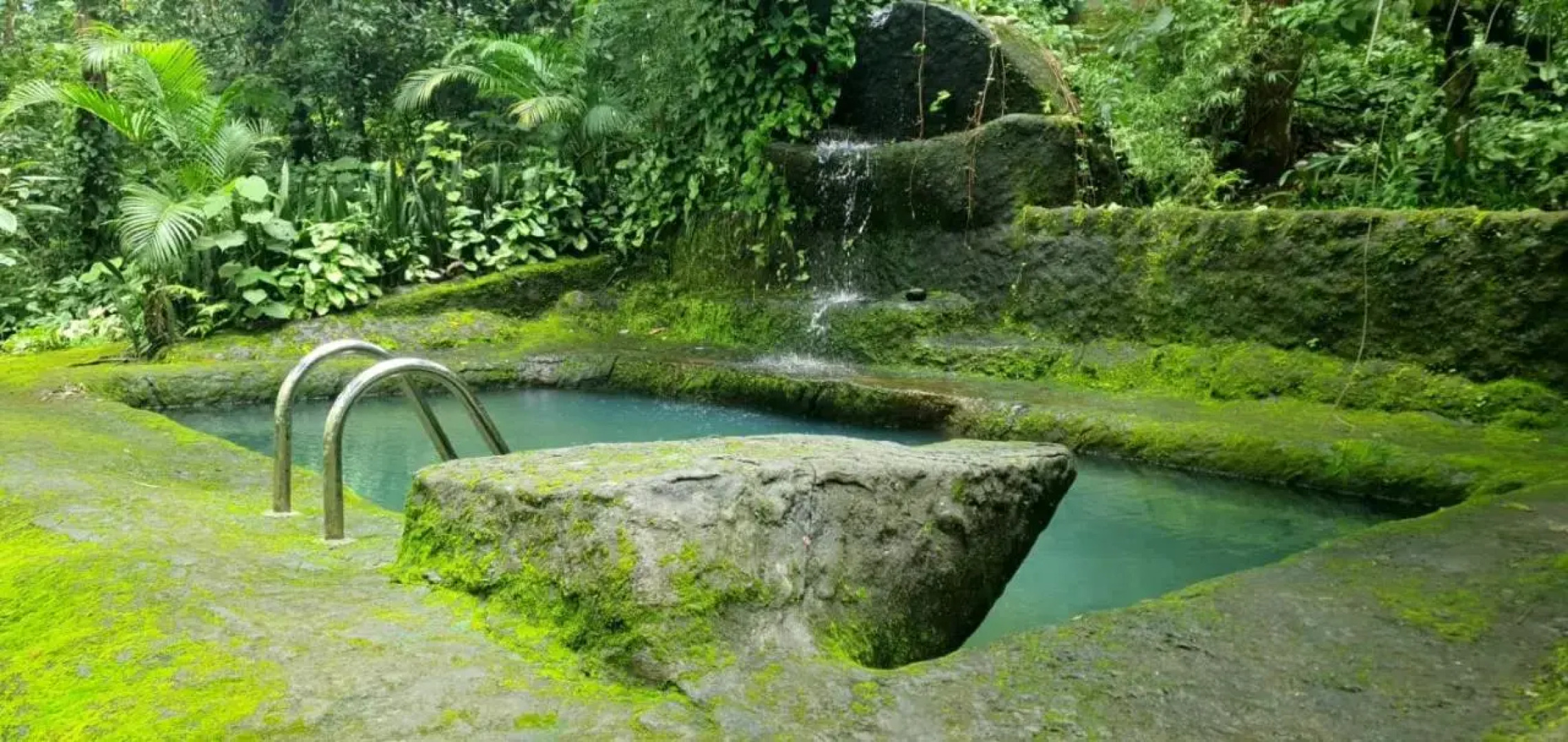 Jungle Retreat Wayanad