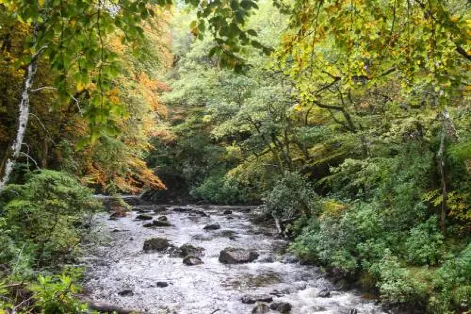 Invergloy Riverside Lodges