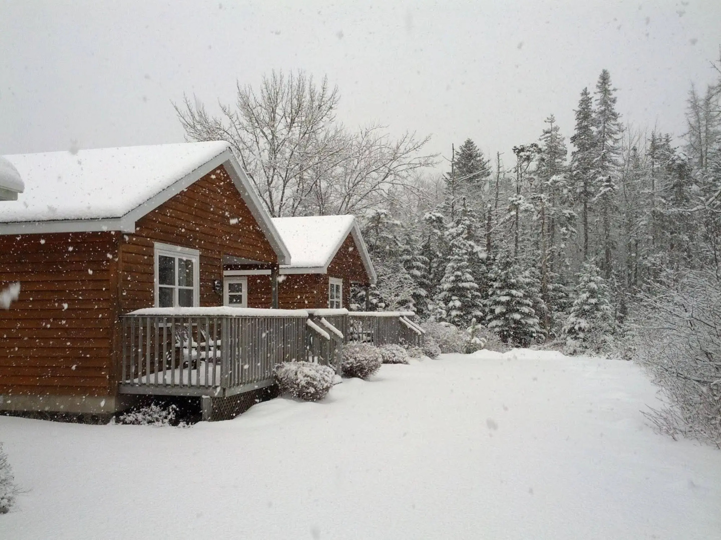 Anchorage House and Cottages