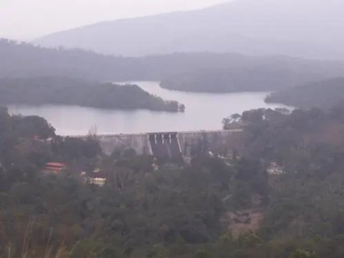 Bio Veda Ayurvedic Hill resort