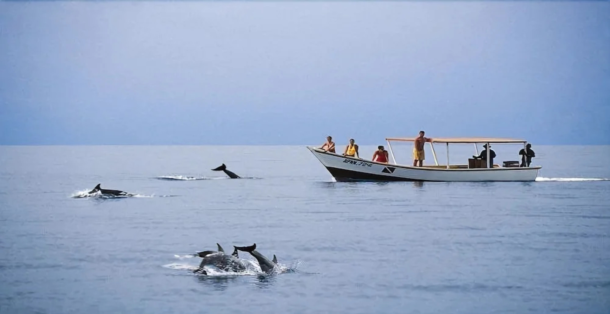 Nueva Toledo Suites & Hotel