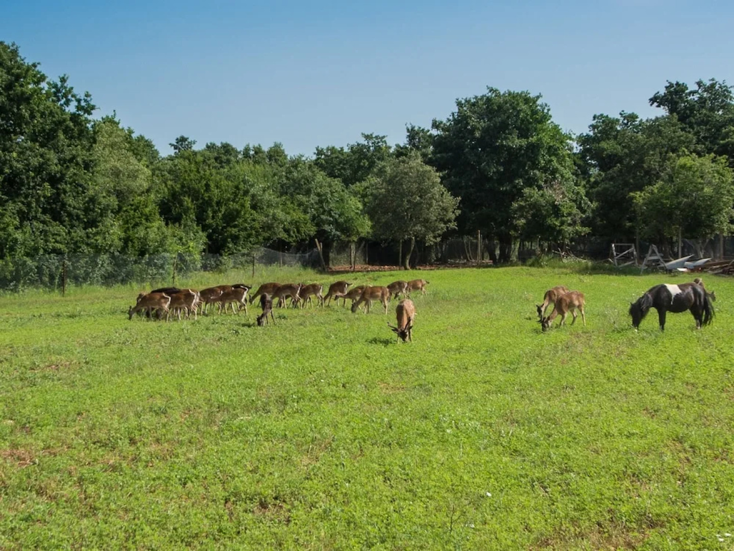 Attractive Holiday Home with Pool, Hot Tub, Patio, Courtyard