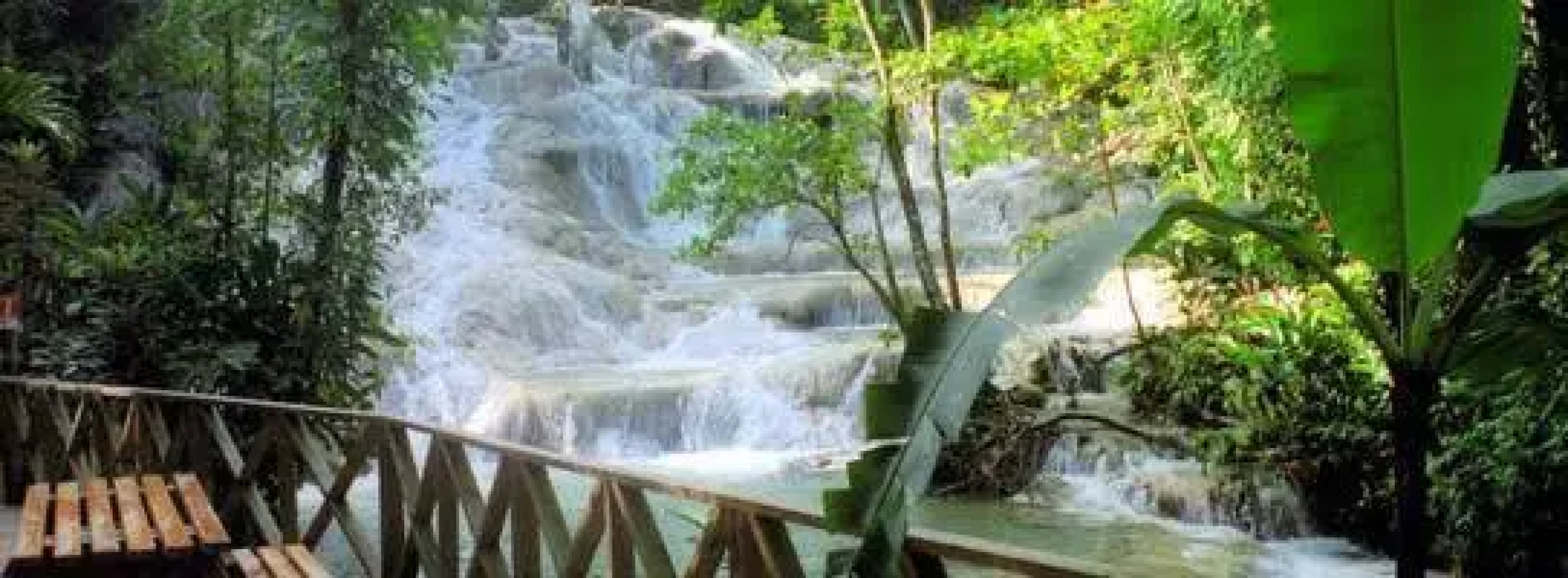 1 BR Suites with Pool - Runaway Bay - PRJ 1256