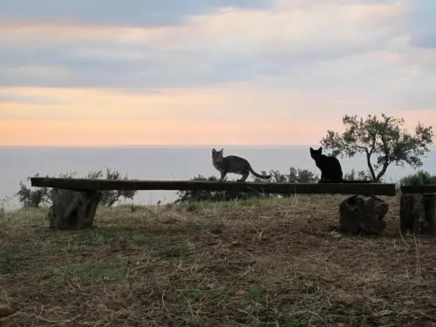 Holiday home Stella di Sicilia