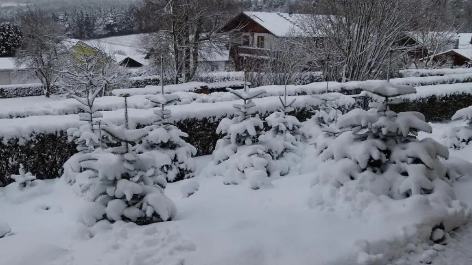 Ferienwohnung Gerda Rank