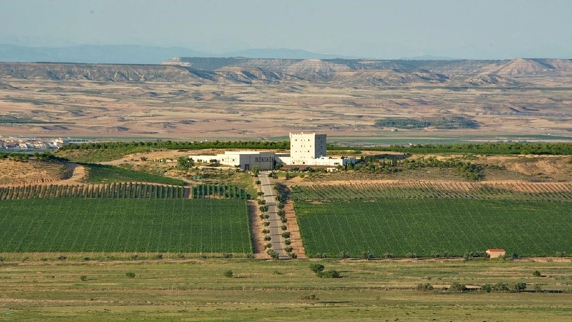 Chateau Pago De Cirsus