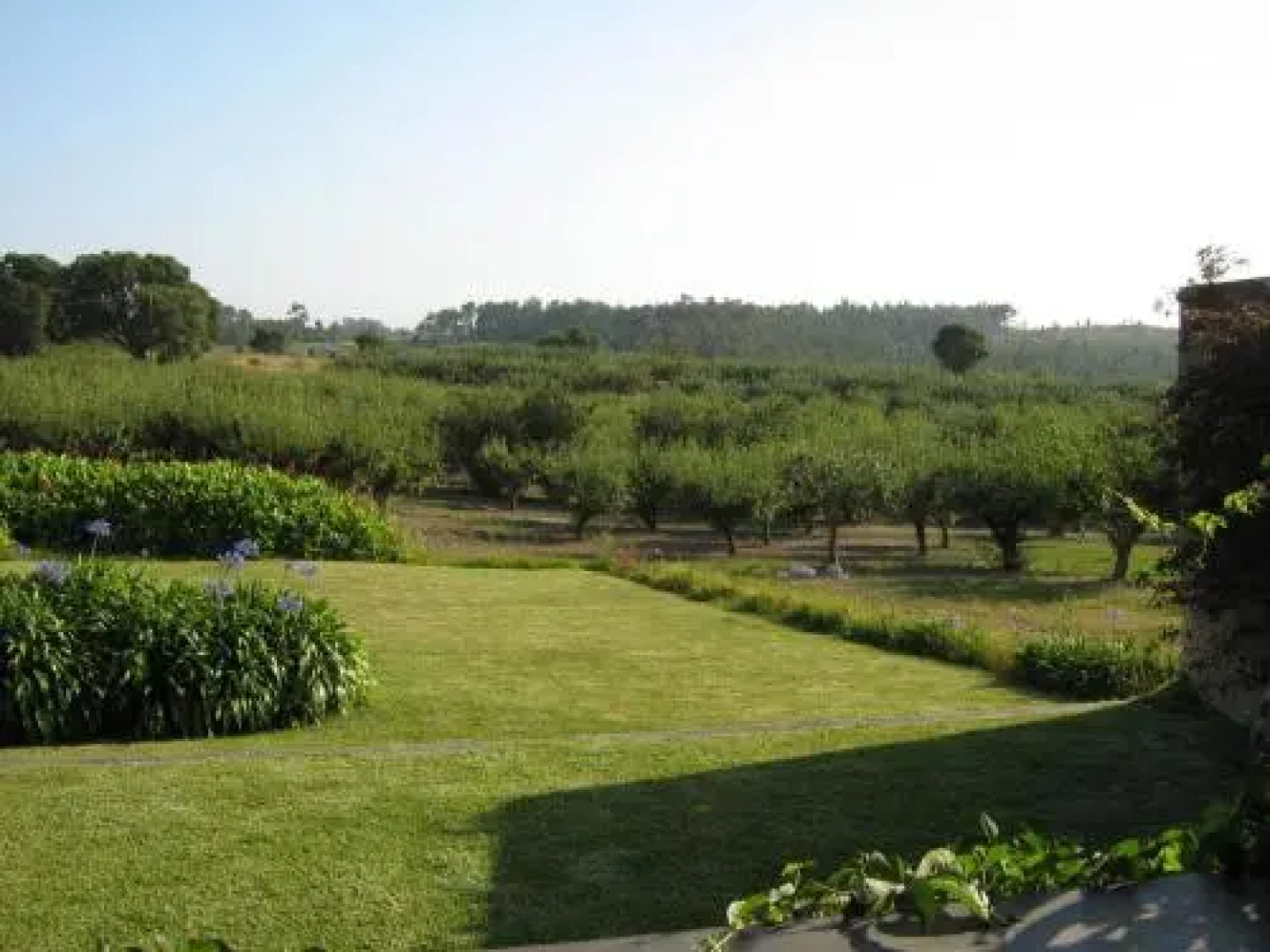 Casal dos Crespos House