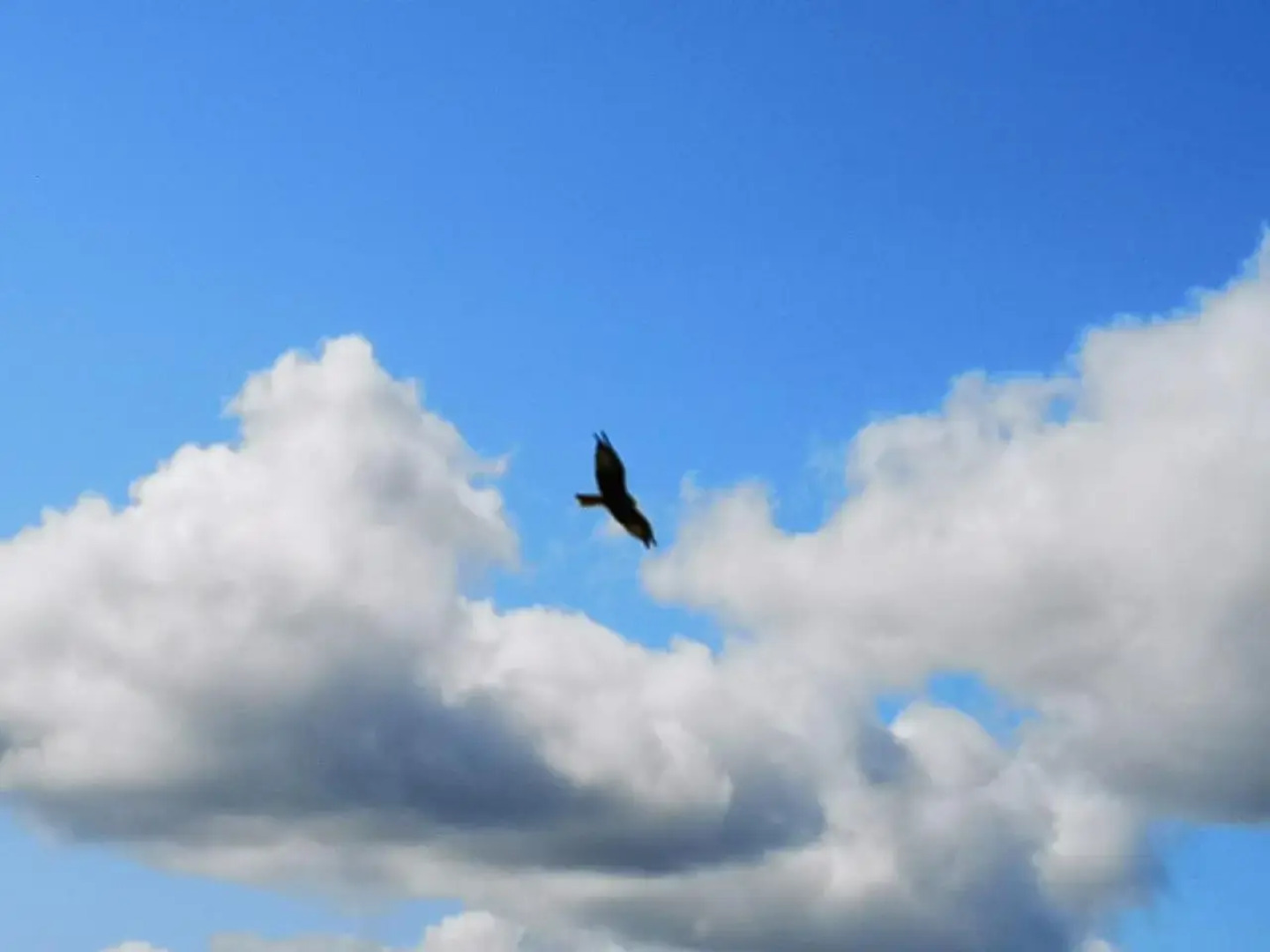 Upper Gilwern Quarry Hut