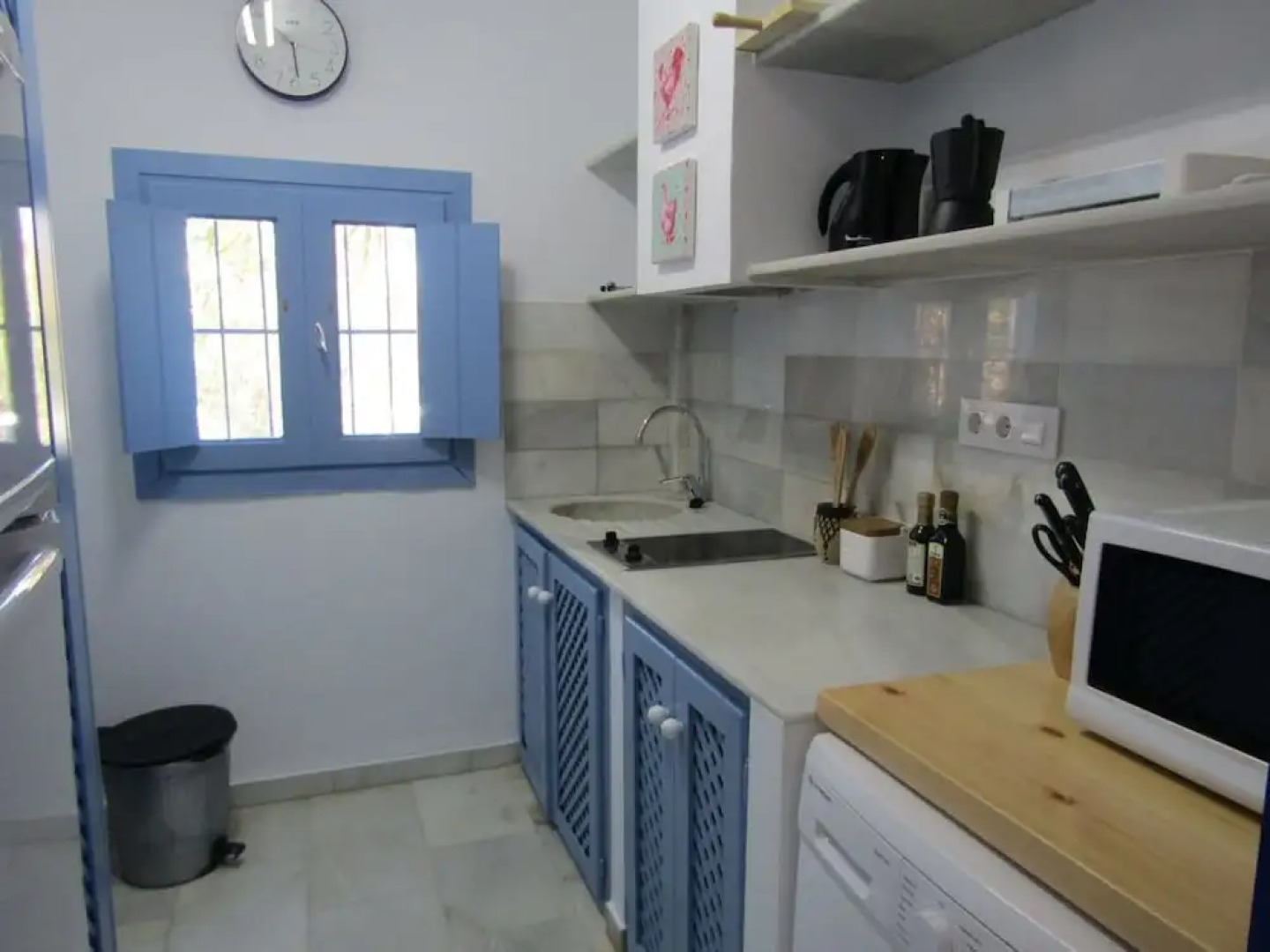 Caballo de Mar Appaloosa