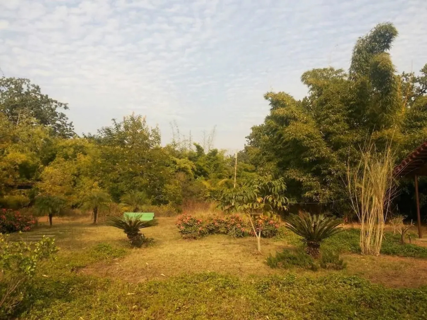 V Resorts Celebrations Bandhavgarh