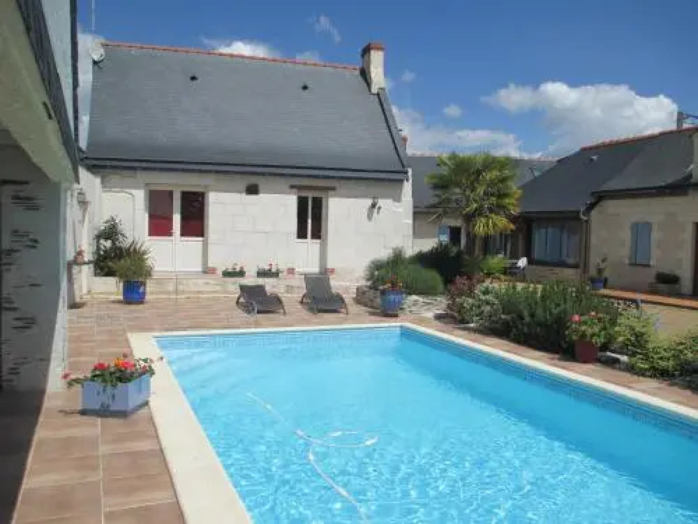 Les Palmiers à La Bohalle