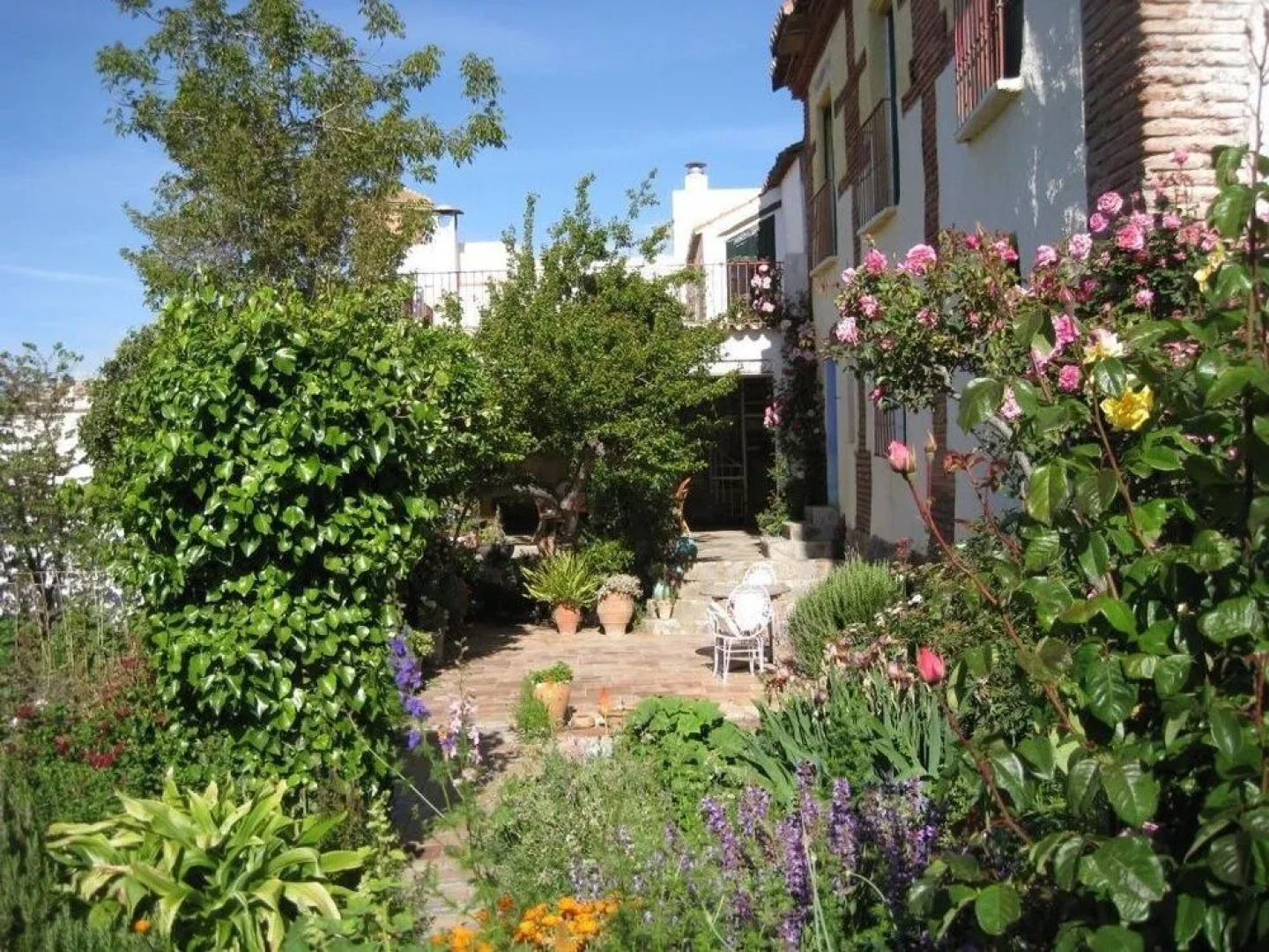 Alojamiento Rural Viña y Rosales