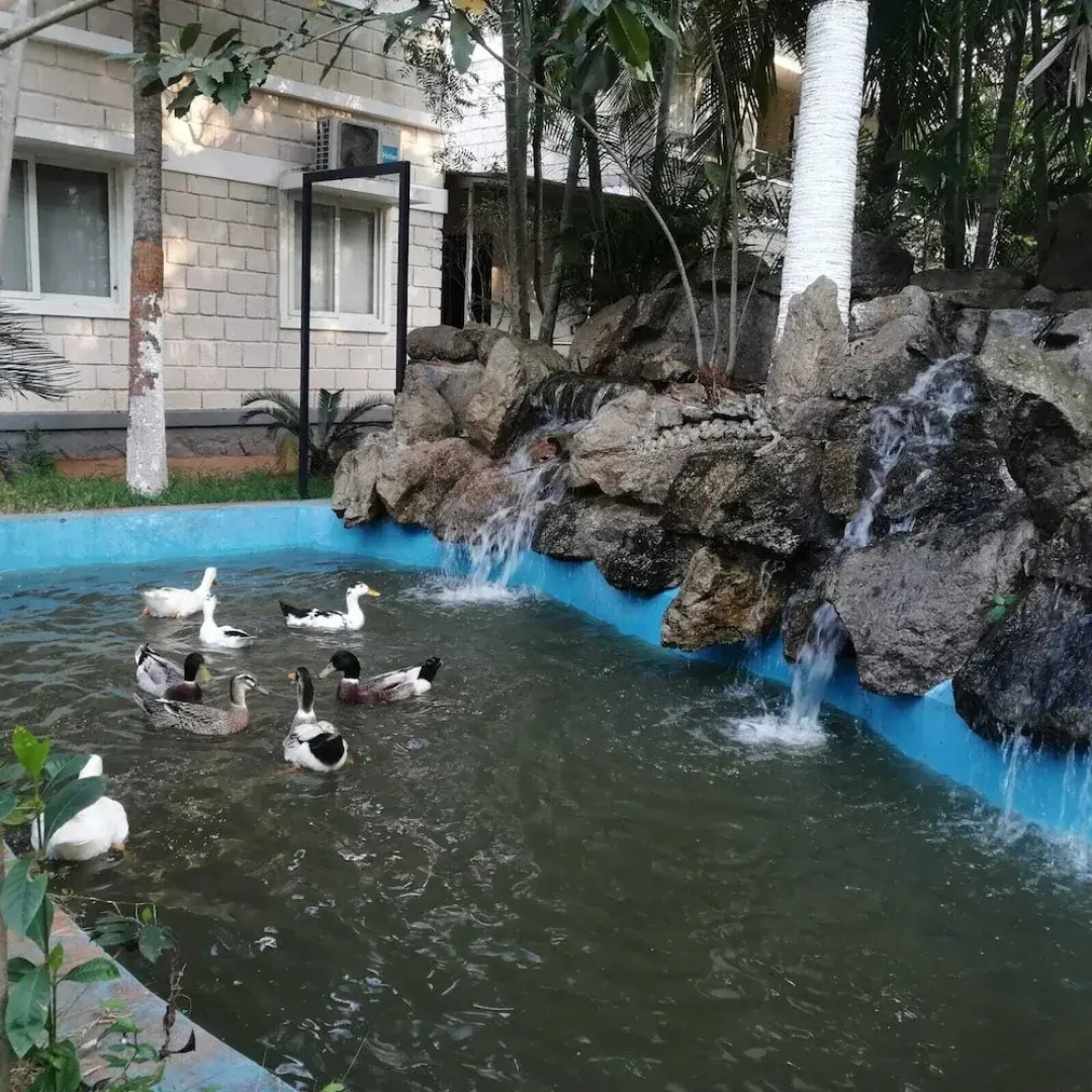 Leisure Inn Resort by NHospitality