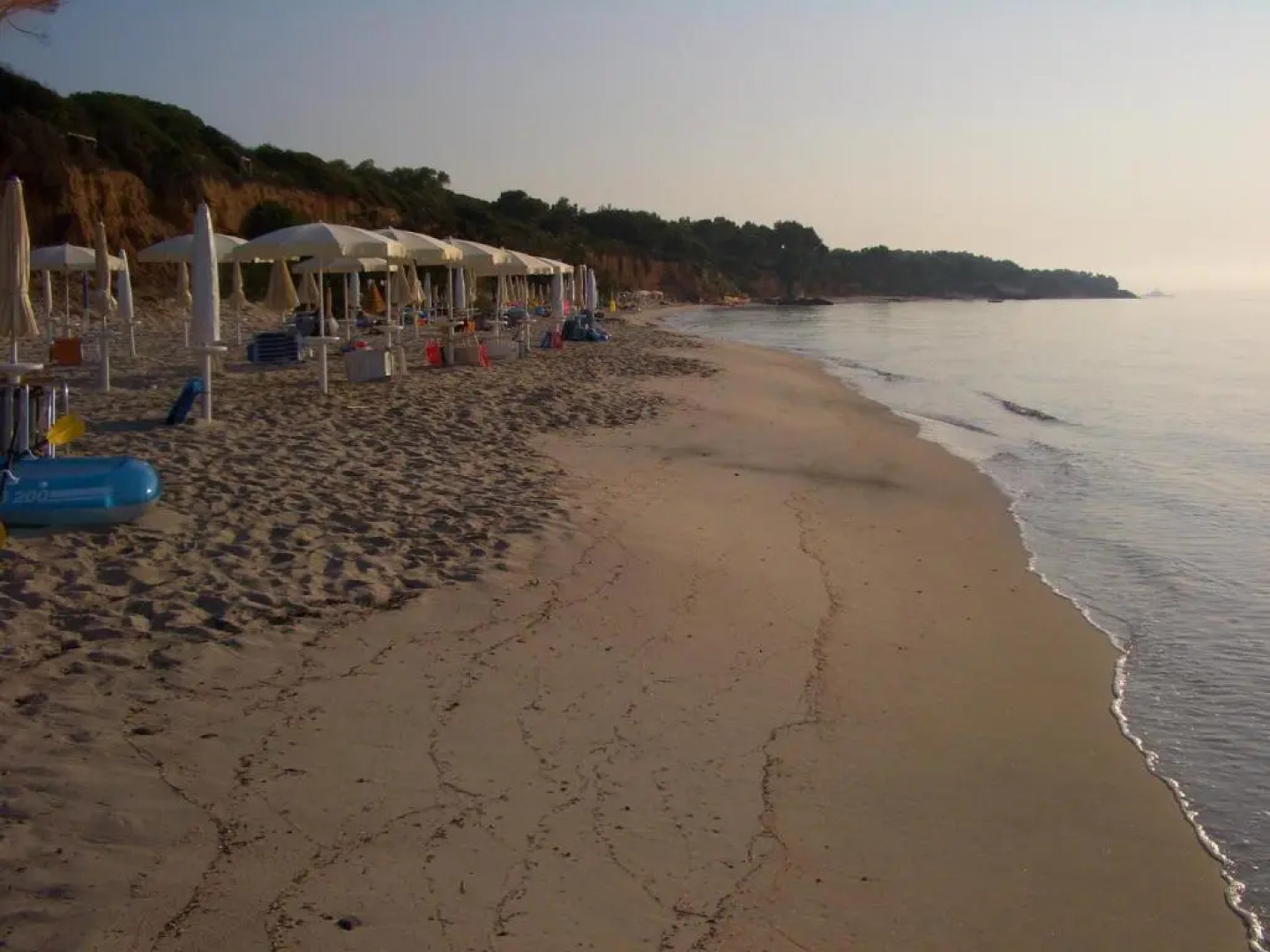 Jungle House - Pineta Is Morus