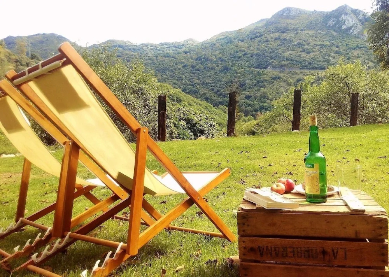 Bonalife - Senda del Oso